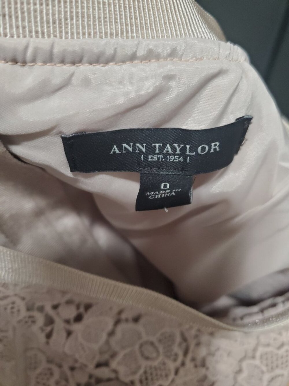 Ann Taylor Lined Lace Pencil Skirt in Pink | 0 - Picture 5 of 5